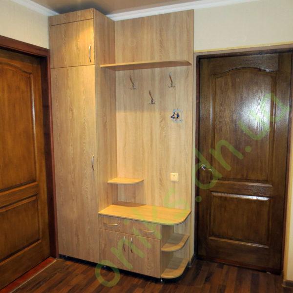 Купить полузакрытый распашной шкаф для прихожей в Донецке