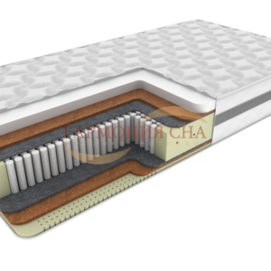 PREMIER_LATEX_MEMORY